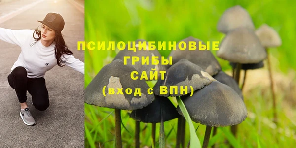 винт Михайловск