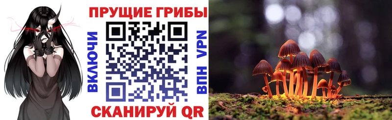 Галлюциногенные грибы MAGIC MUSHROOMS  Купить где  Дыгулыбгей 